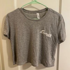 Alphalete Gym cropped tee